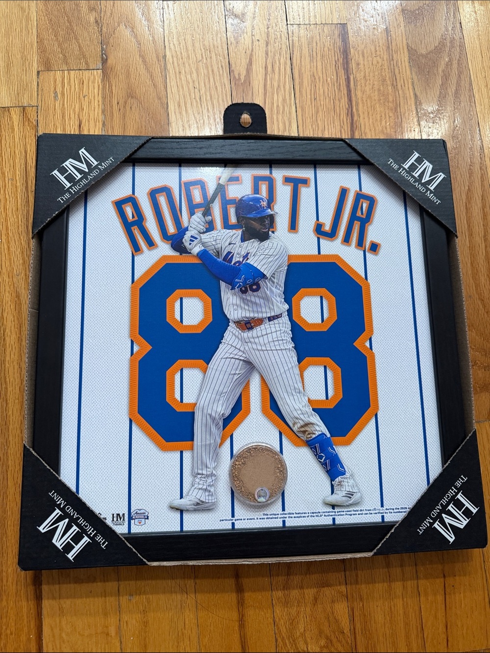 Robert Jr. Blue & Orange Framed Wall Decor by
